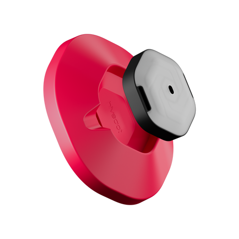 Magnetic Base (Set of 2)