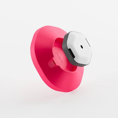 Magnetic Bases (Set of 2)